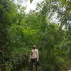 anh.980037