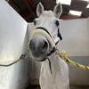 cassandra_jumpp
