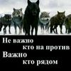 dovran555