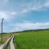 andiillang_33