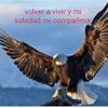 sanchezcarmen610