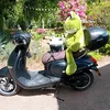 userr551sk19vh