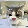 urfavgwirly