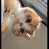 rahma_dnrh