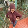 apa_yaa36