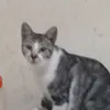 .haaaa0