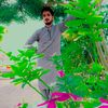 rashid.khan5994