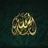 halim50032