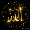 user7332755246119