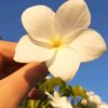 sitzul_23