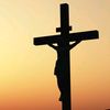 john331616