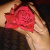 muhammad.haris8308