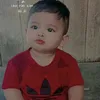 lannhi550