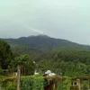 garammania7