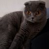 user8107550096141