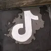 Roof Artist