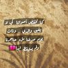 yoyo_nonah