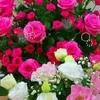 user1qaqb7syu6