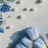 hoangann003_