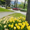 noori_871