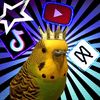 the_yuqo