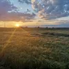 nikolherbstova