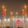 fatimaahmed31683