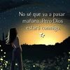 damarissolis155