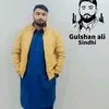 gulshanalikk