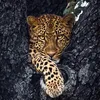 zahraaadel475