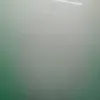 77_spk