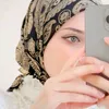 di.alkmar