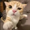 alexis_16.04