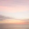 b_brencic