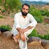 shahzaibafridi661