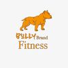 bullybrandfitness