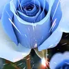 dabelinfloreschoq