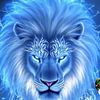 mohamate123