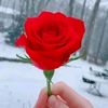 usman.m.f