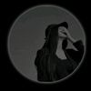 gracee811
