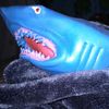 shark_boi697