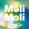fj_molimoli