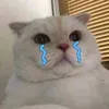 kimdiep618