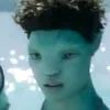 tbbilljo