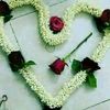 user8300917146103