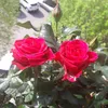 user134686