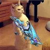 onekillcat