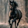 fathifathi0257
