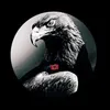 dark_forest85