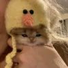 evelynxzacc